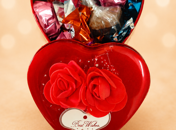 P001 8 to 10 chocolate